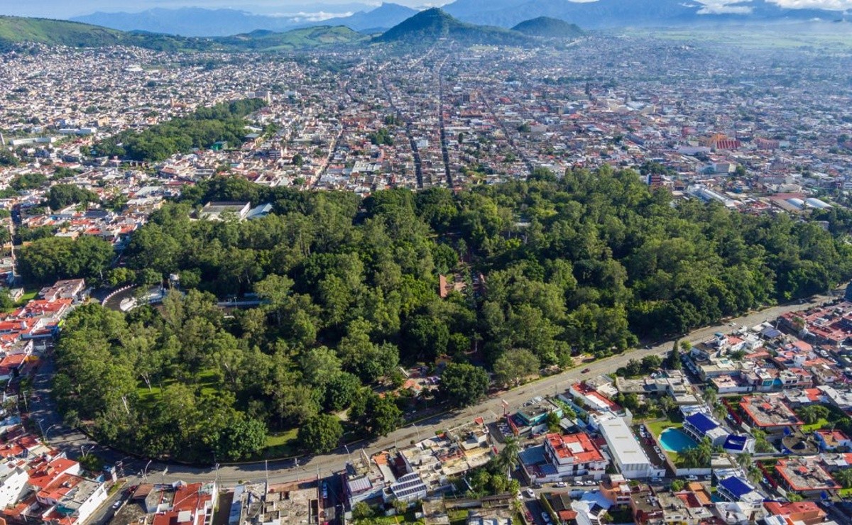 Un Pulmón Verde en la Ciudad: Guía para Disfrutar del Parque La Loma