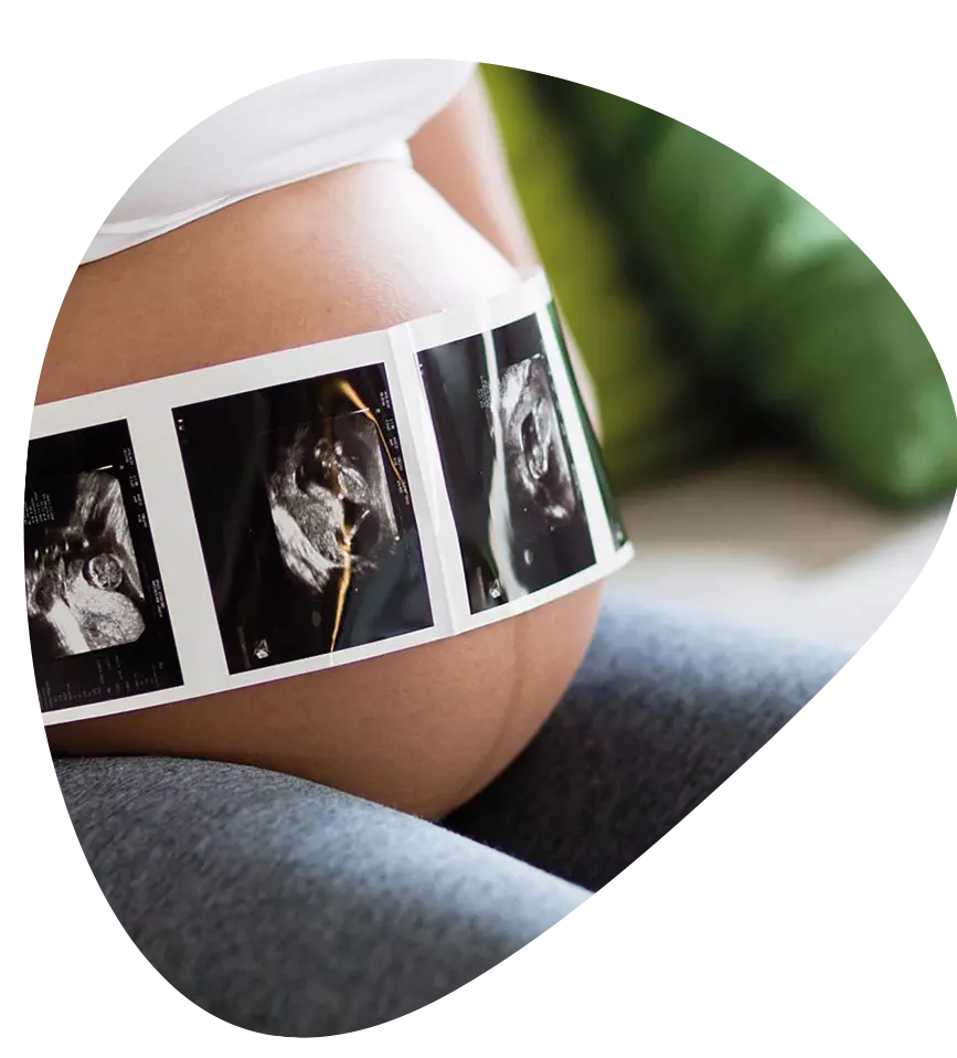 Private Growth Scan | From 24 - 40 Weeks - Harley Street Ultrasound