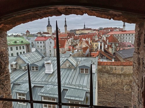 View to the roofs of Tallinn