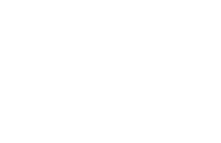 Vitl