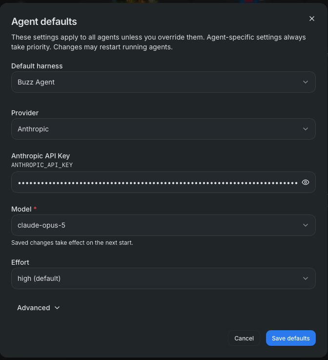 Agent Defaults - default harness, provider, model, effort, and custom environment variables
