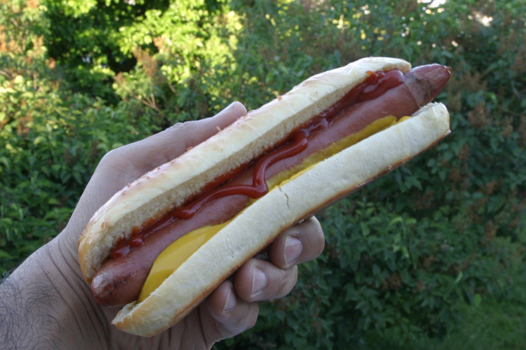 Are hotdogs a sandwich?