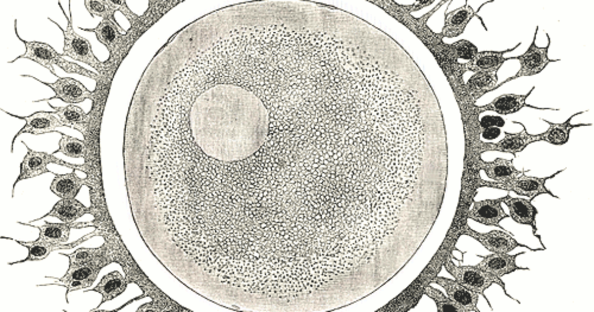 A journey on the Android Main Thread — PSVM | Square Corner Blog