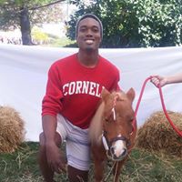 Picture of Nisola Shobayo