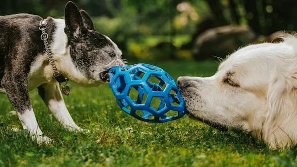 The Missing Piece for Local AI Development