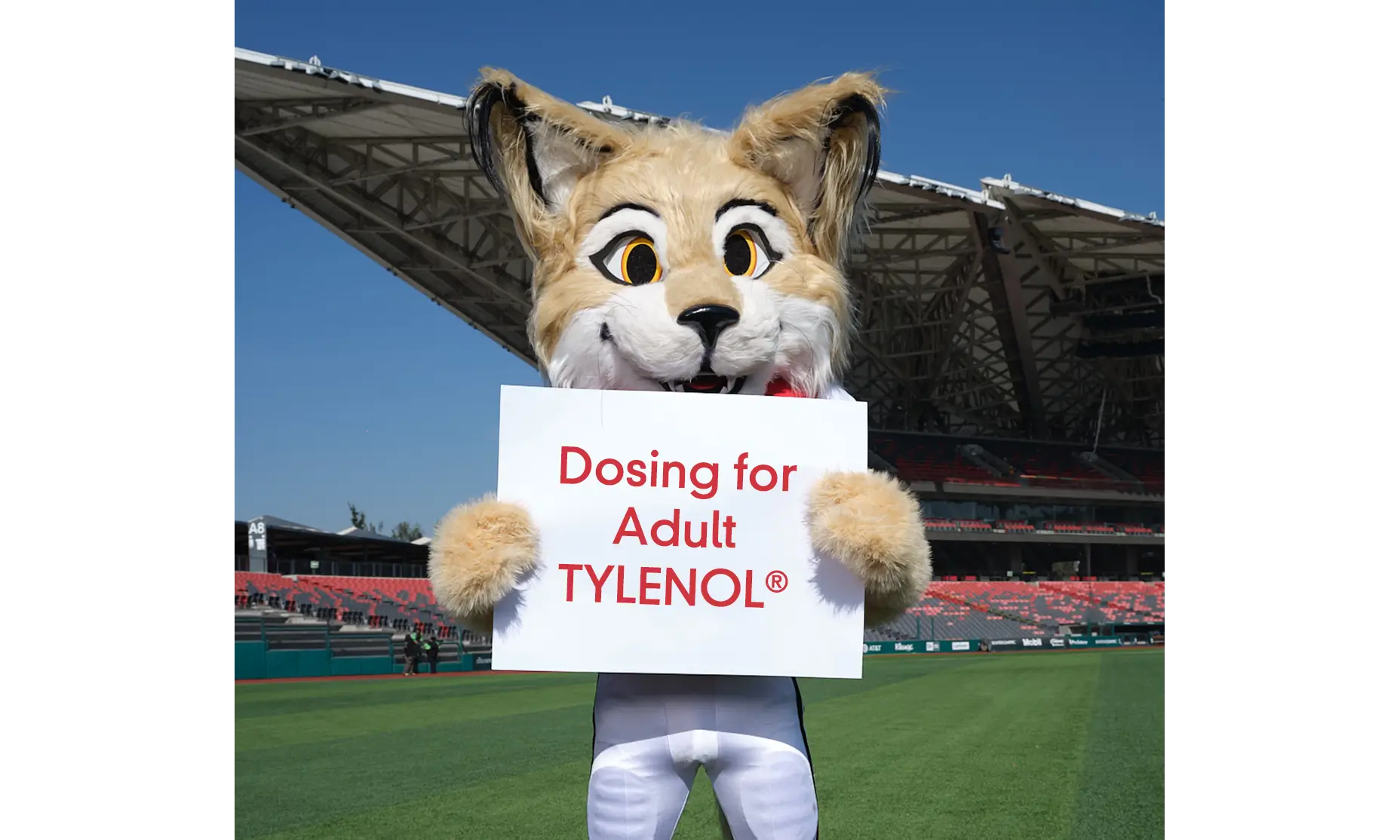 Dosing for Adult TYLENOL®