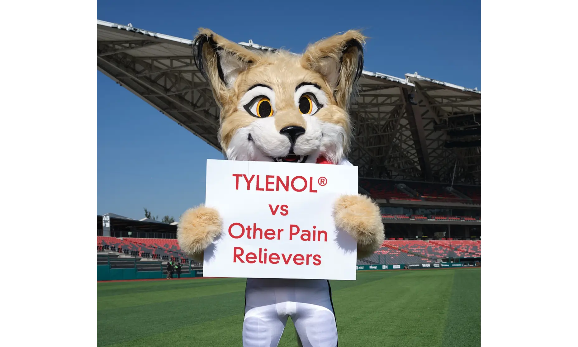 TYLENOL® vs Other Pain Relievers