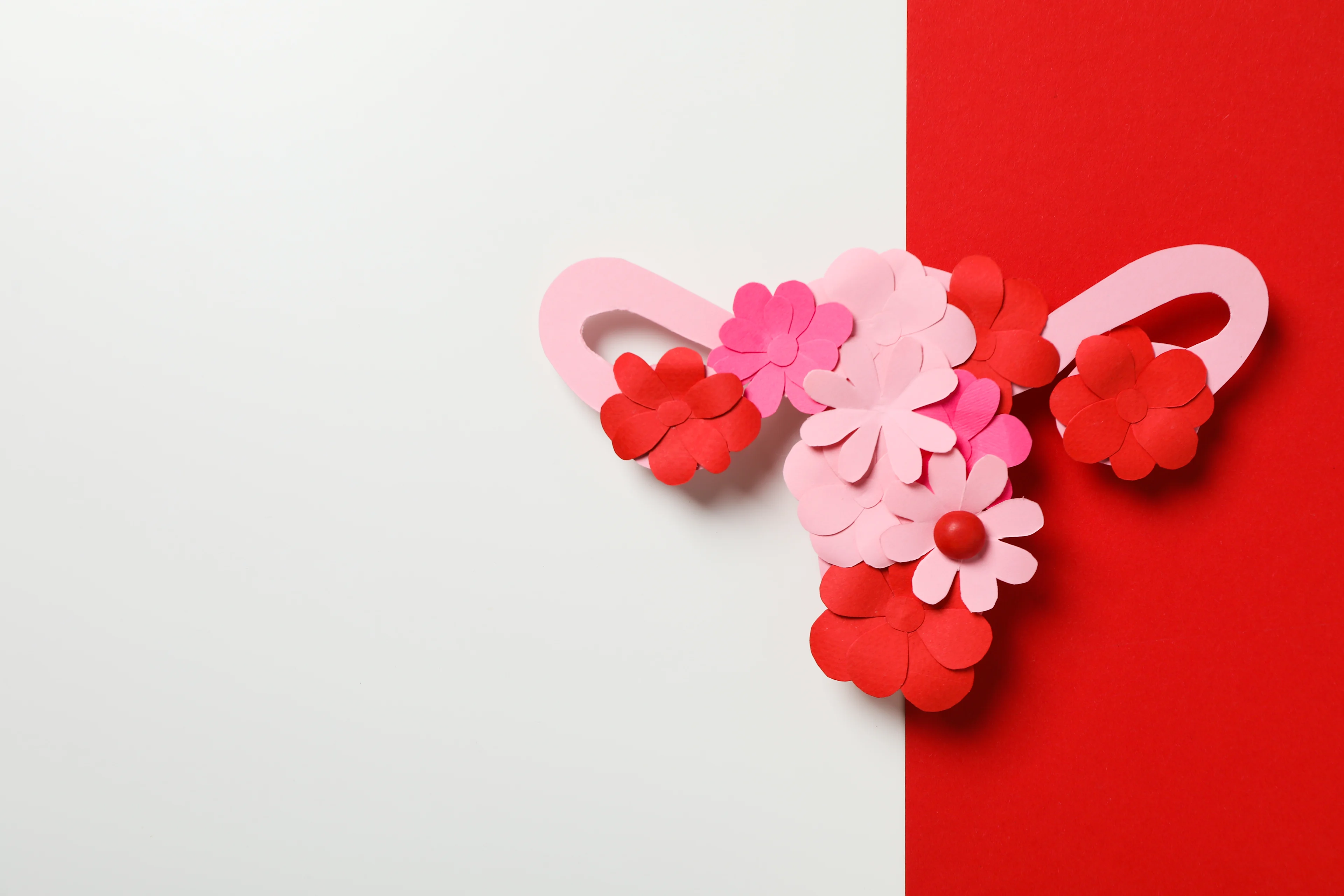 Introduction to the menstrual cycle