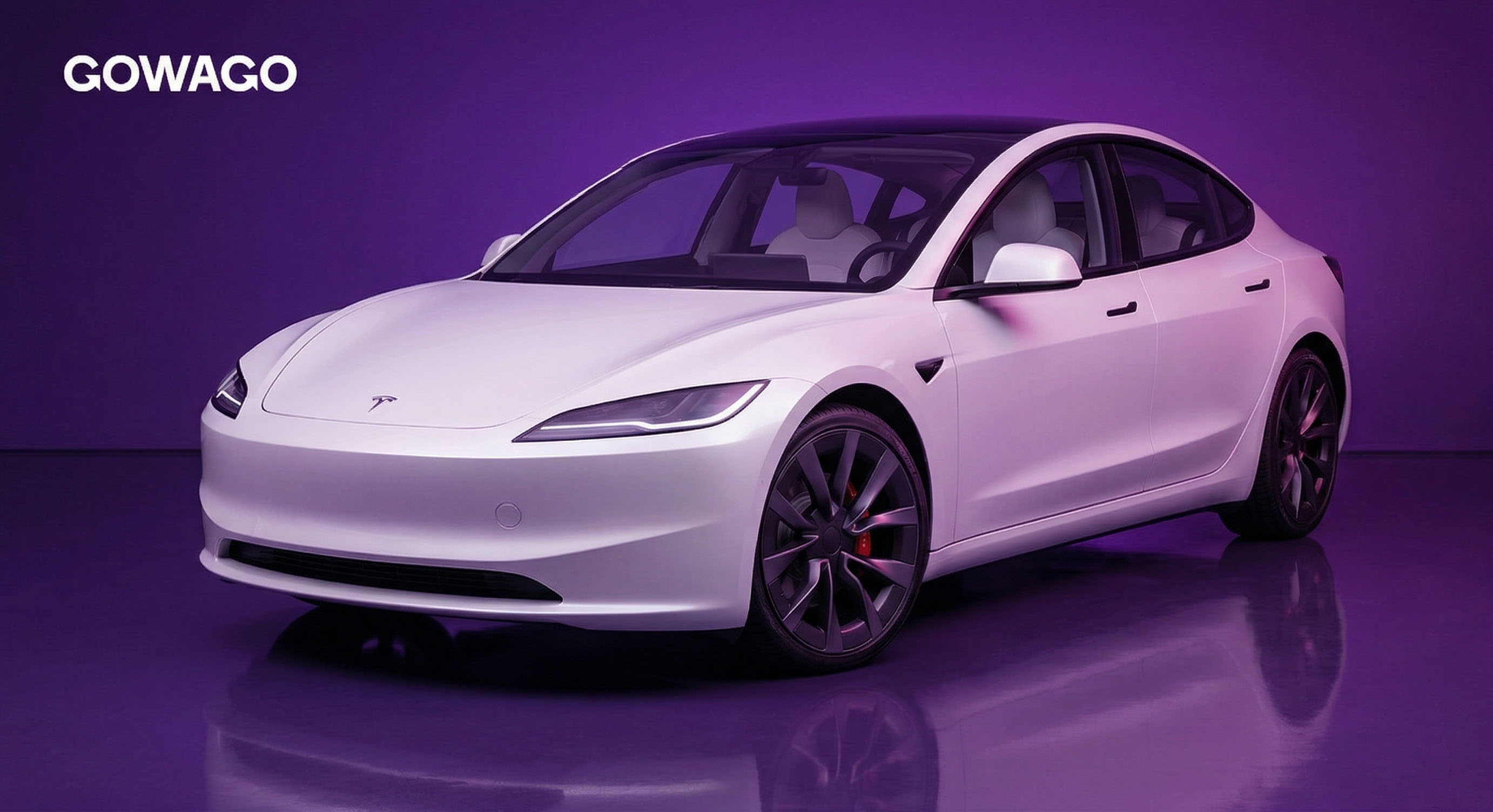 Tesla Model 3 Gowago