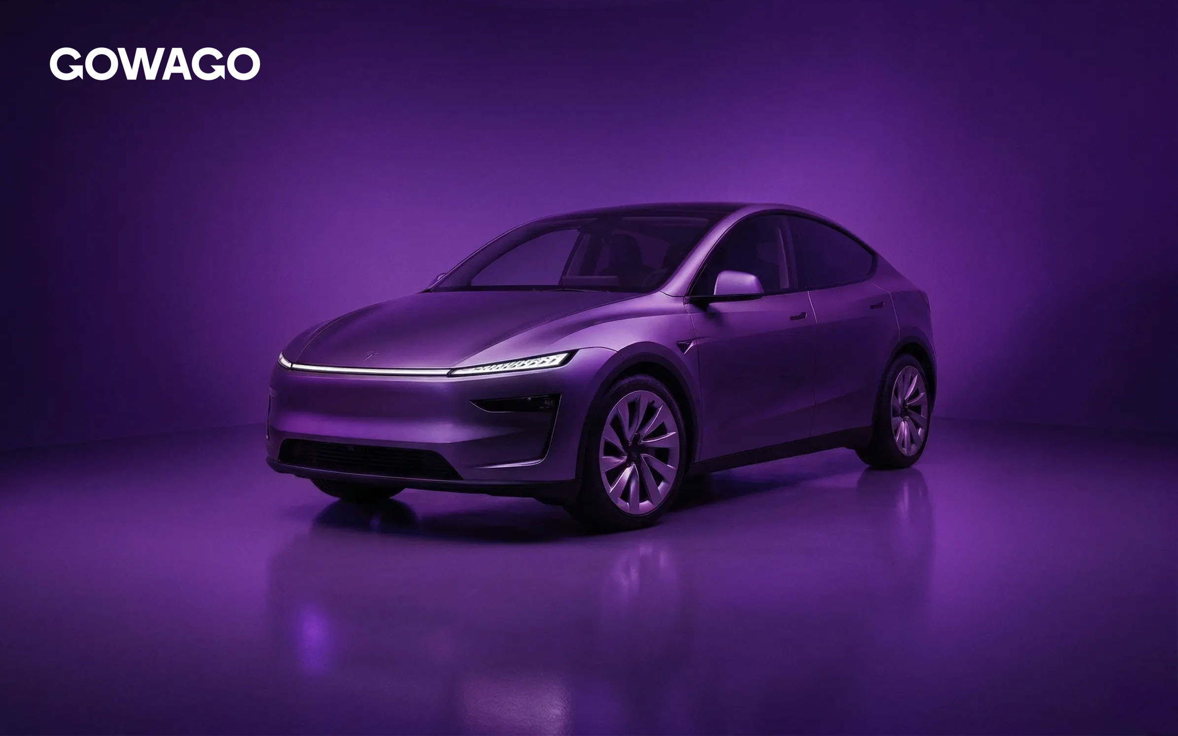 Tesla Model Y Gowago