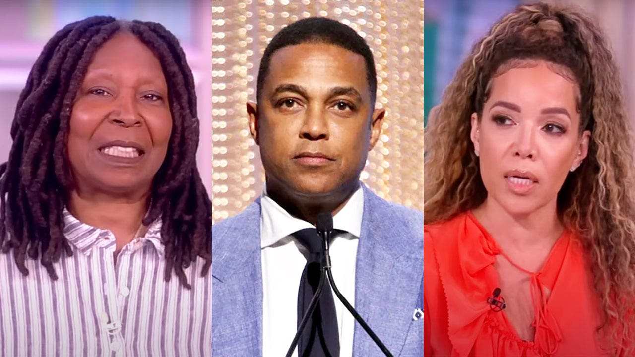 'The View' co-hosts defend 'friend' Don Lemon, reject misogyny charges amid CNN firing: 'He loves women'