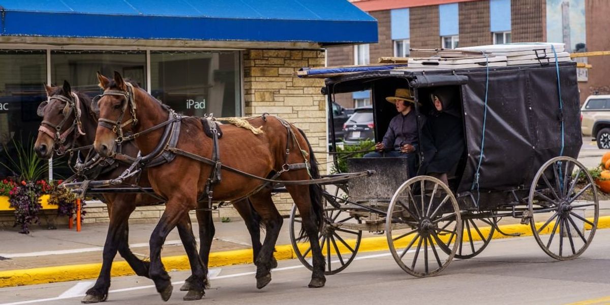 Amish woman and horse dead after buggy is rear-ended by semi — not 'uncommon,' police say