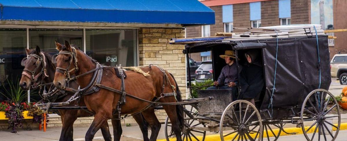 Amish woman and horse dead after buggy is rear-ended by semi — not 'uncommon,' police say