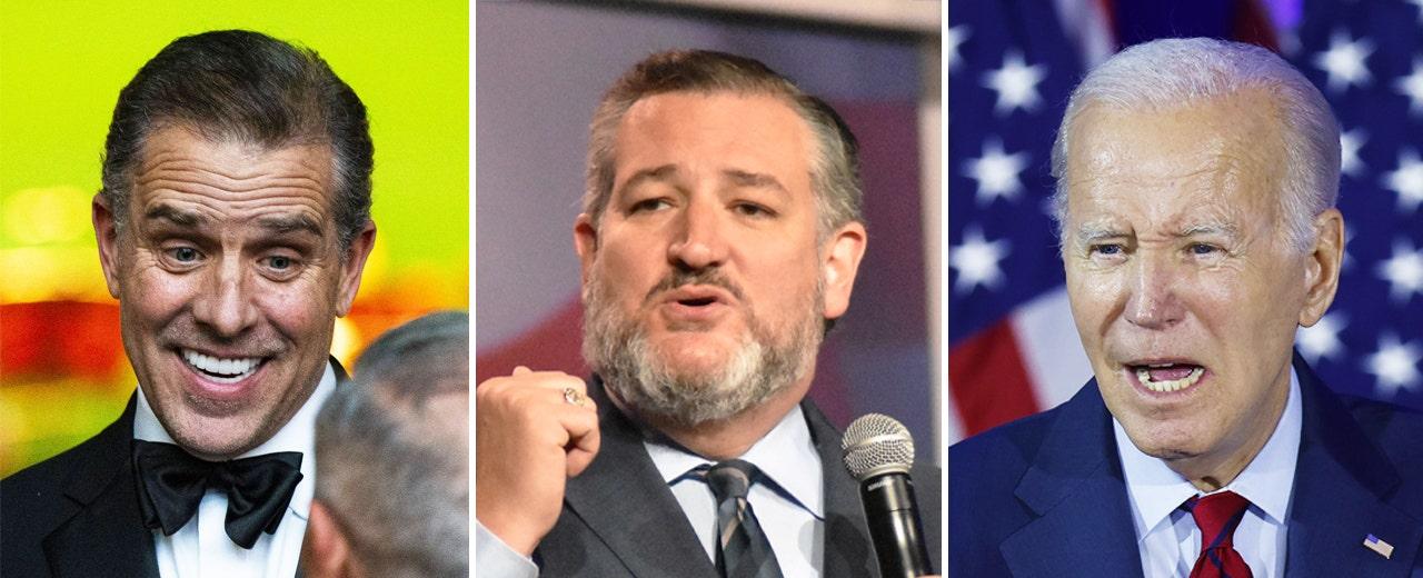 Ted Cruz calls on House to investigate impeaching Biden over Hunter allegations: 'Direct evidence'