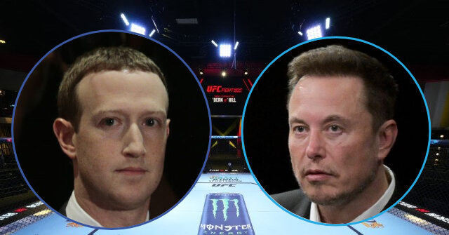 Nerd War!: Elon Musk and Mark Zuckerberg Agree to 'Cage Fight'