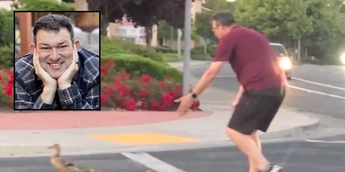 Devoted father dies helping ducks cross busy street