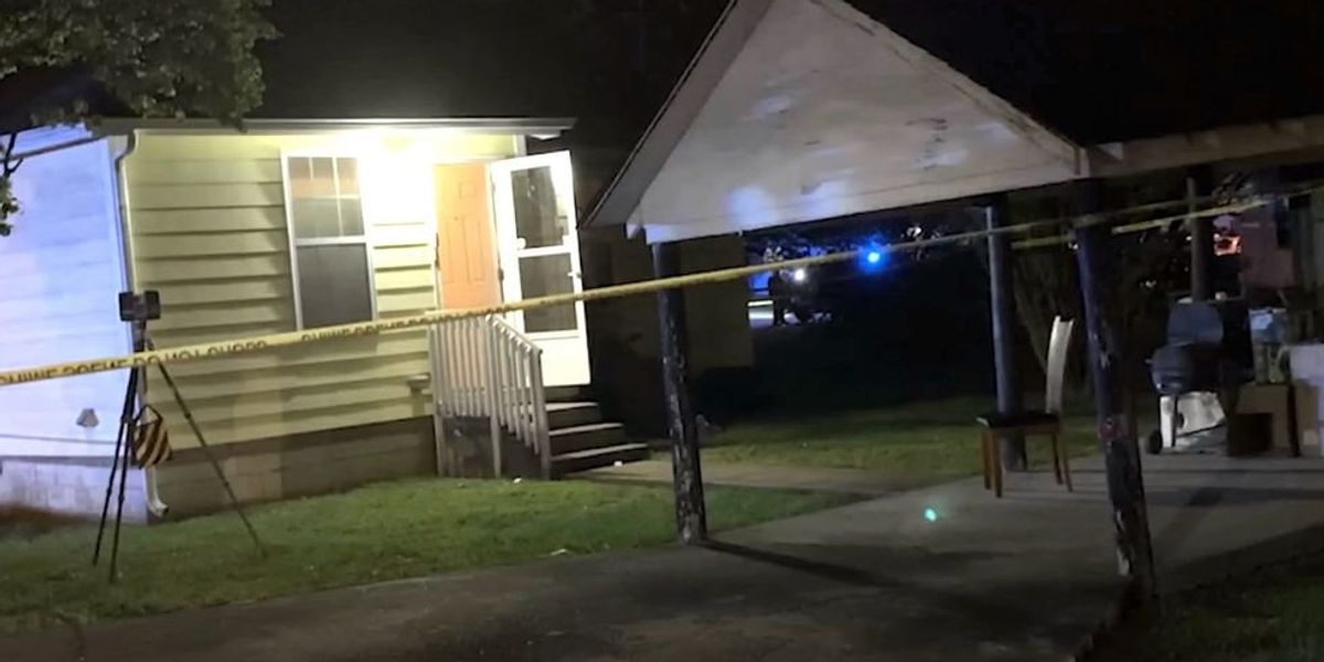 Home intruders use a Taser on dog and threaten teenager with gun — so homeowner shoots one dead and injures the other