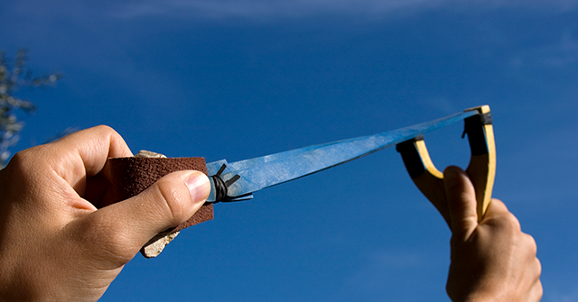 Brother Fires Slingshot at Alleged Kidnapper, Saving Eight-Year-Old Sister