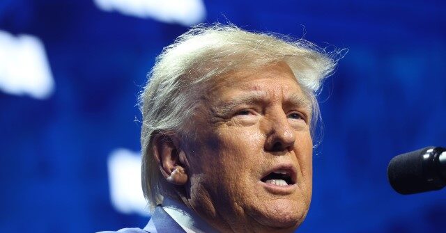 Exclusive: Trump Pledges to End Birthright Citizenship for Illegal Aliens