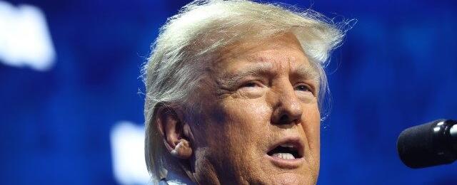 Exclusive: Trump Pledges to End Birthright Citizenship for Illegal Aliens