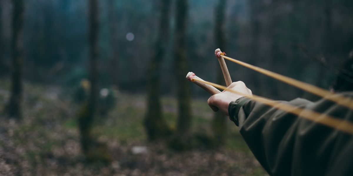 Michigan boy thwarts abduction of sister with slingshot