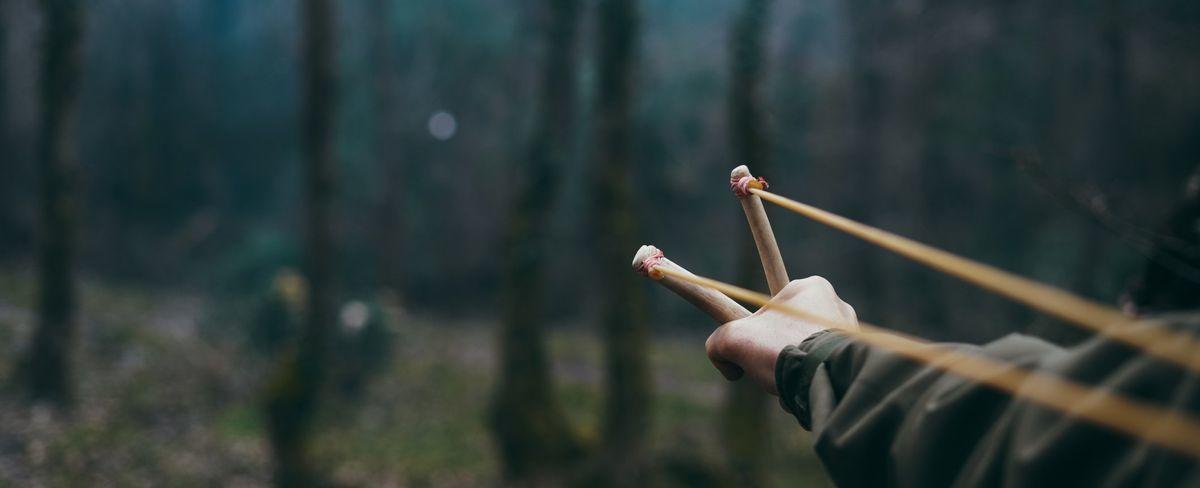 Michigan boy thwarts abduction of sister with slingshot