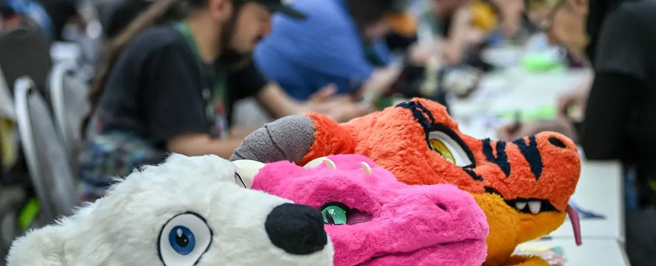 Furry fury as convention goes 18+ in reaction to DeSantis law: 'Heartbreaking'