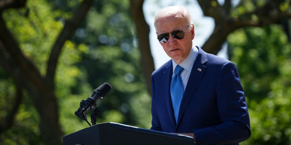 'Very f***ing worried': Democrats are panicking over fears that Trump could beat Biden in 2024