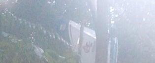 Colombia plane crash: Four child survivors found in Amazon rainforest two weeks later