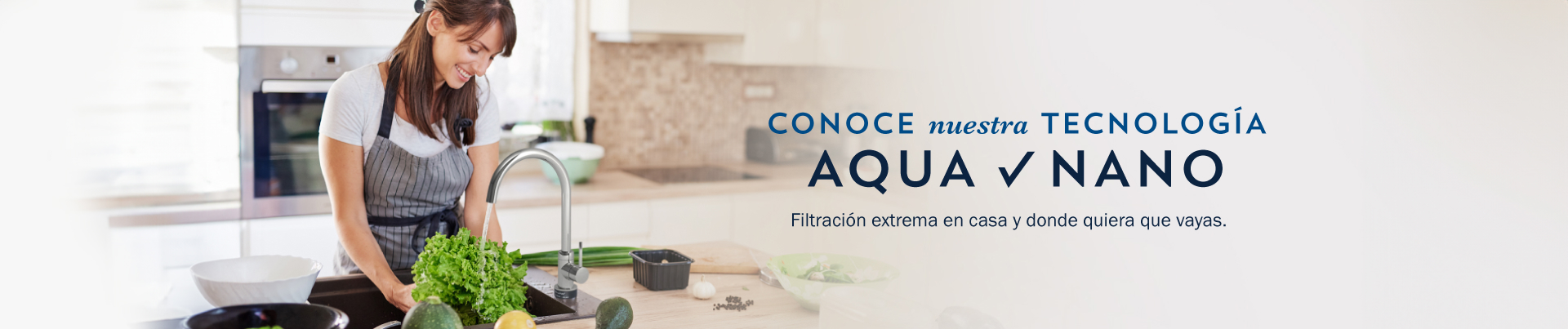 Banner de la pagina de aqua nano.