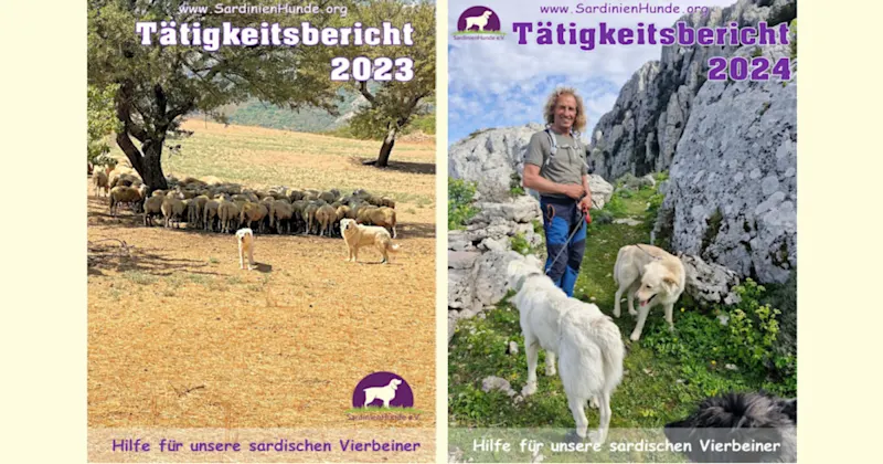 Bild Cover Taetigkeitsberichte 1263