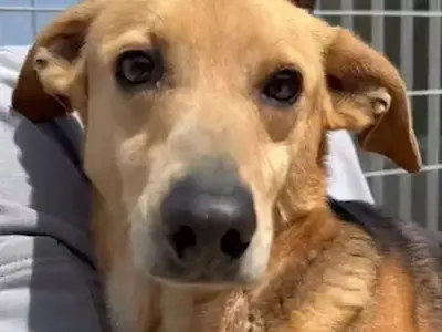 Angioletto Mai23 01 1