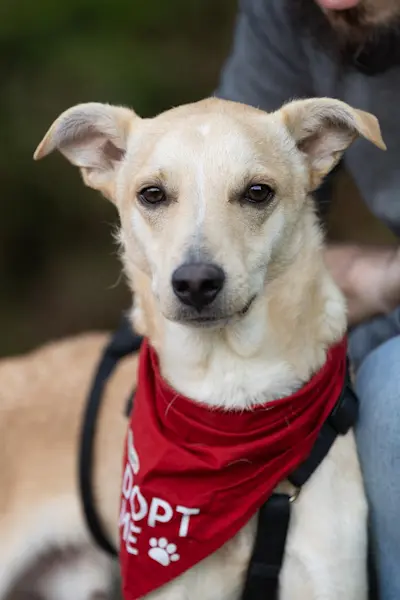 GiovanniPiccolo 925 1