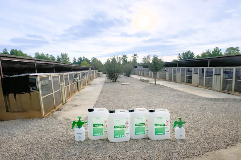 Spendenaufruf Primavera2