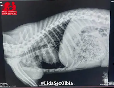 WhatsApp Image 2025-11-14 at 19.44.09q