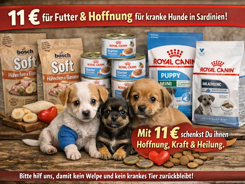 Spezialfutter Geburtstagspot