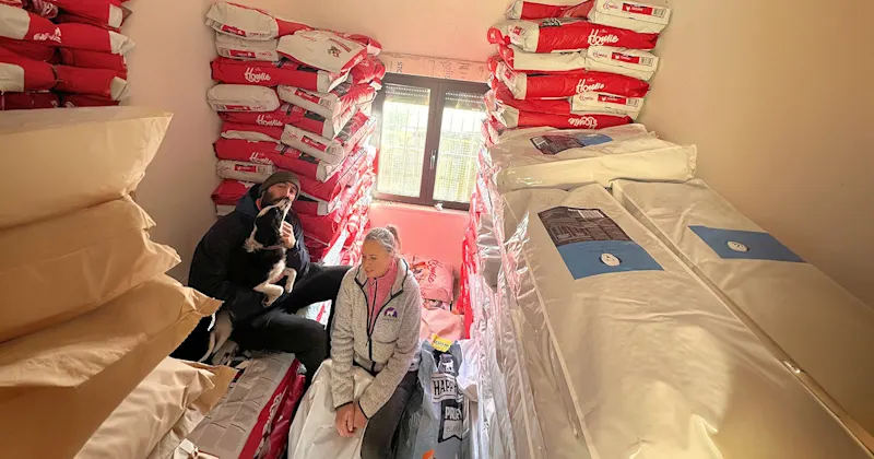 Futter Feed a dog Tortoli