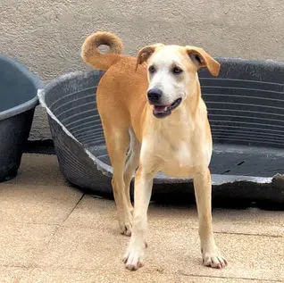 Domenico Juni22 02 1