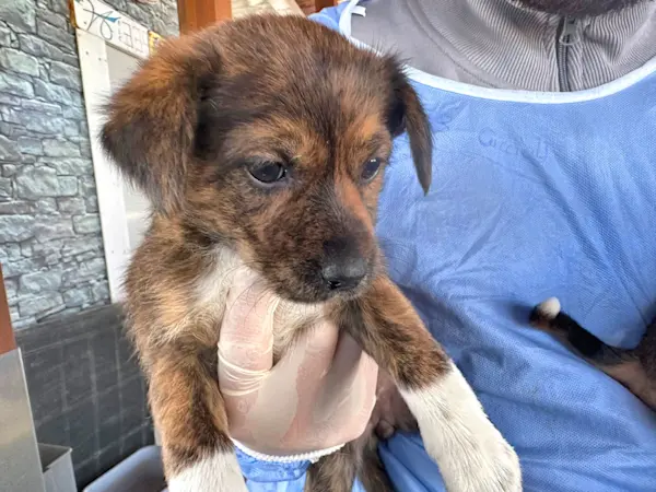 Glückspilze Mädel1 425 3