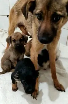 Lisa Mai 21 MamaMegan 1