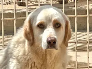 Bild von Arturo