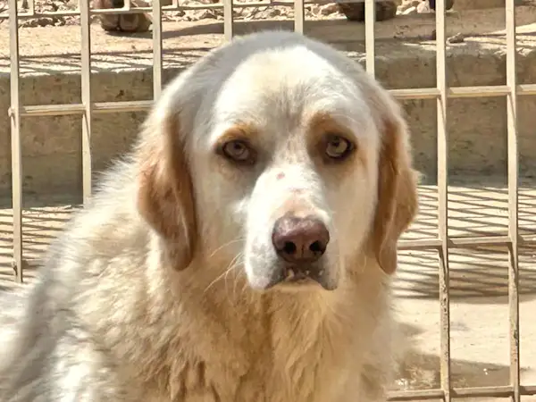 Bild von Arturo