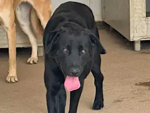 Bild von Gianni Gian