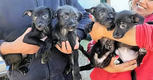 i Giornalisti - März 25