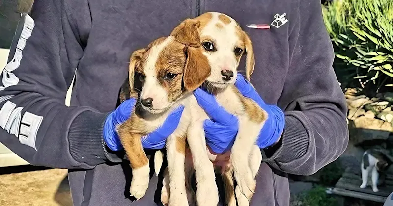 MartaundMartina 1263