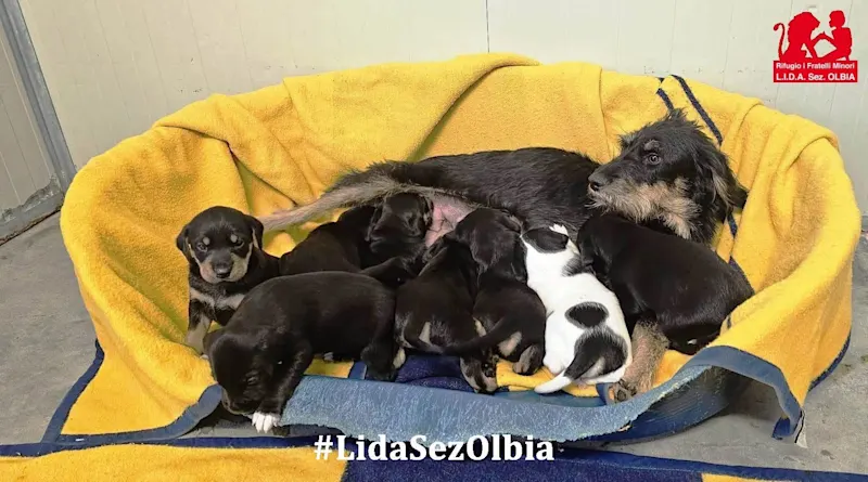 WhatsApp Image 2025-11-30 at 22.36.12