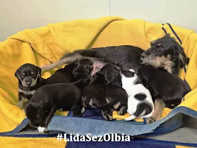 WhatsApp Image 2025-11-30 at 22.36.12