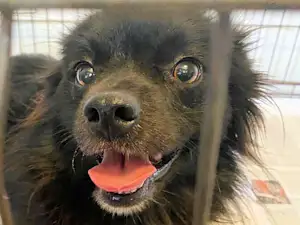 Bild von Matteo Volpino