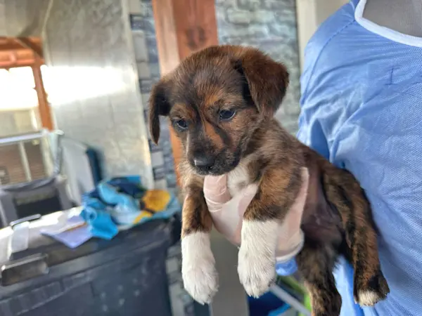 Glückspilze Mädel1 425 2