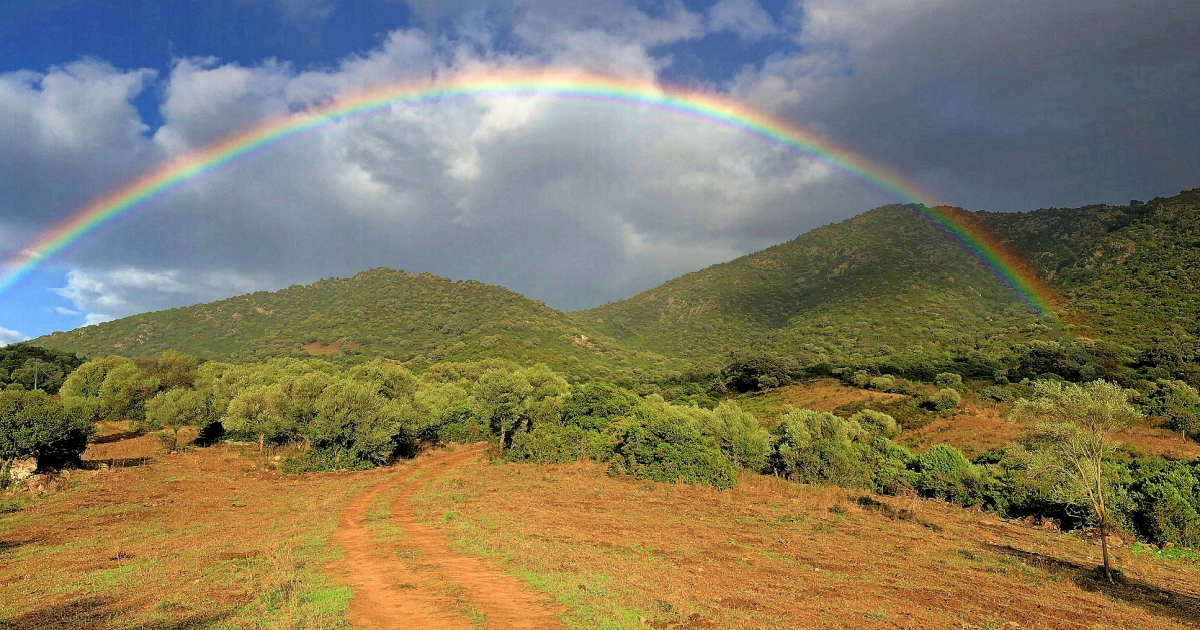 Regenbogen-Header